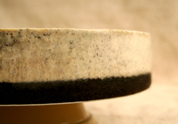 ANything Cheesecake Photoshoot