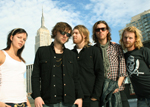 Blackstrap Photoshoot