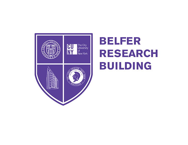 loney dear fall 2009 tour poster